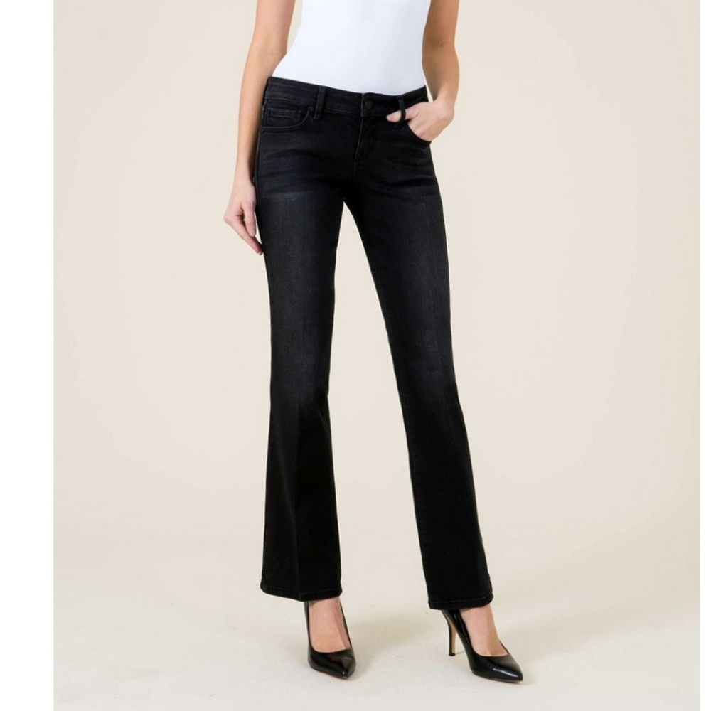 NWT Level 99 Anthropologie Sz 31 Chloe Bootcut